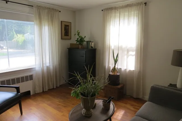 a living room with furniture and a potted plant