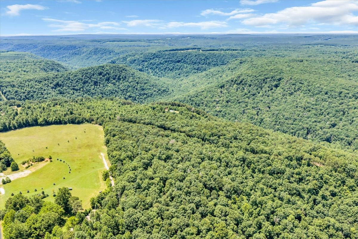 5688 Burkett Chapel Road Gruetli Laager, TN 37339 - Photo 54 of 73
