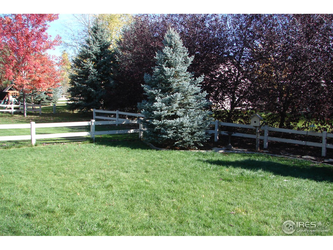 1175 Black Hawk Road Eaton, CO 80615 - Photo 18 of 25 Back Yard