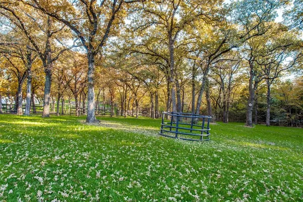 a green field with lots of trees