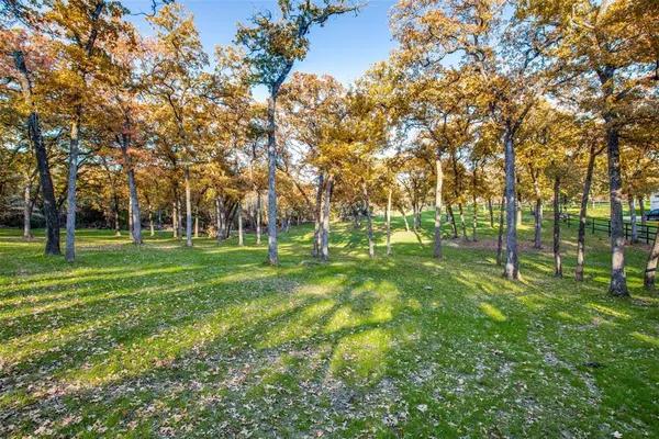 a huge green field with lots of trees