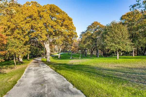 a big yard with large trees and plants