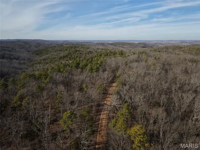 $89,000 | 0 Cr 2160 Womack Mo 63645, Fredericktown, MO 63645