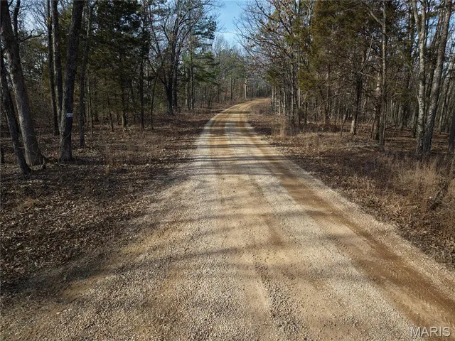 $89,000 | 0 Cr 2160 Womack Mo 63645, Fredericktown, MO 63645