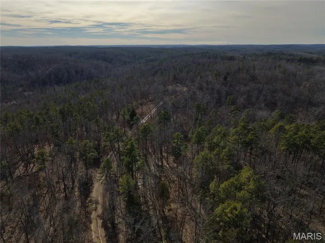 $89,000 | 0 Cr 2160 Womack Mo 63645, Fredericktown, MO 63645