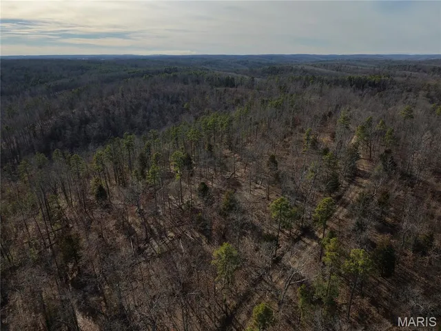 $89,000 | 0 Cr 2160 Womack Mo 63645, Fredericktown, MO 63645