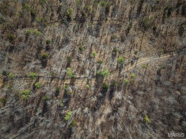 $89,000 | 0 Cr 2160 Womack Mo 63645, Fredericktown, MO 63645