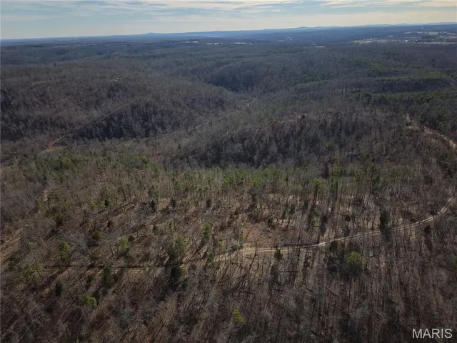 $89,000 | 0 Cr 2160 Womack Mo 63645, Fredericktown, MO 63645