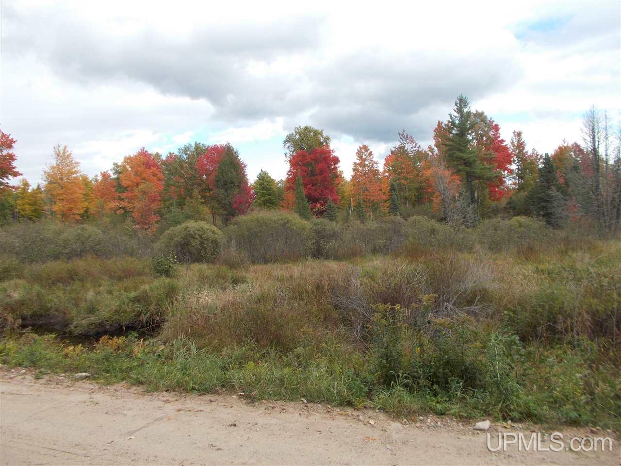 50-acres Camp Nine Road Ralph, MI 49877 - Photo 2 of 12