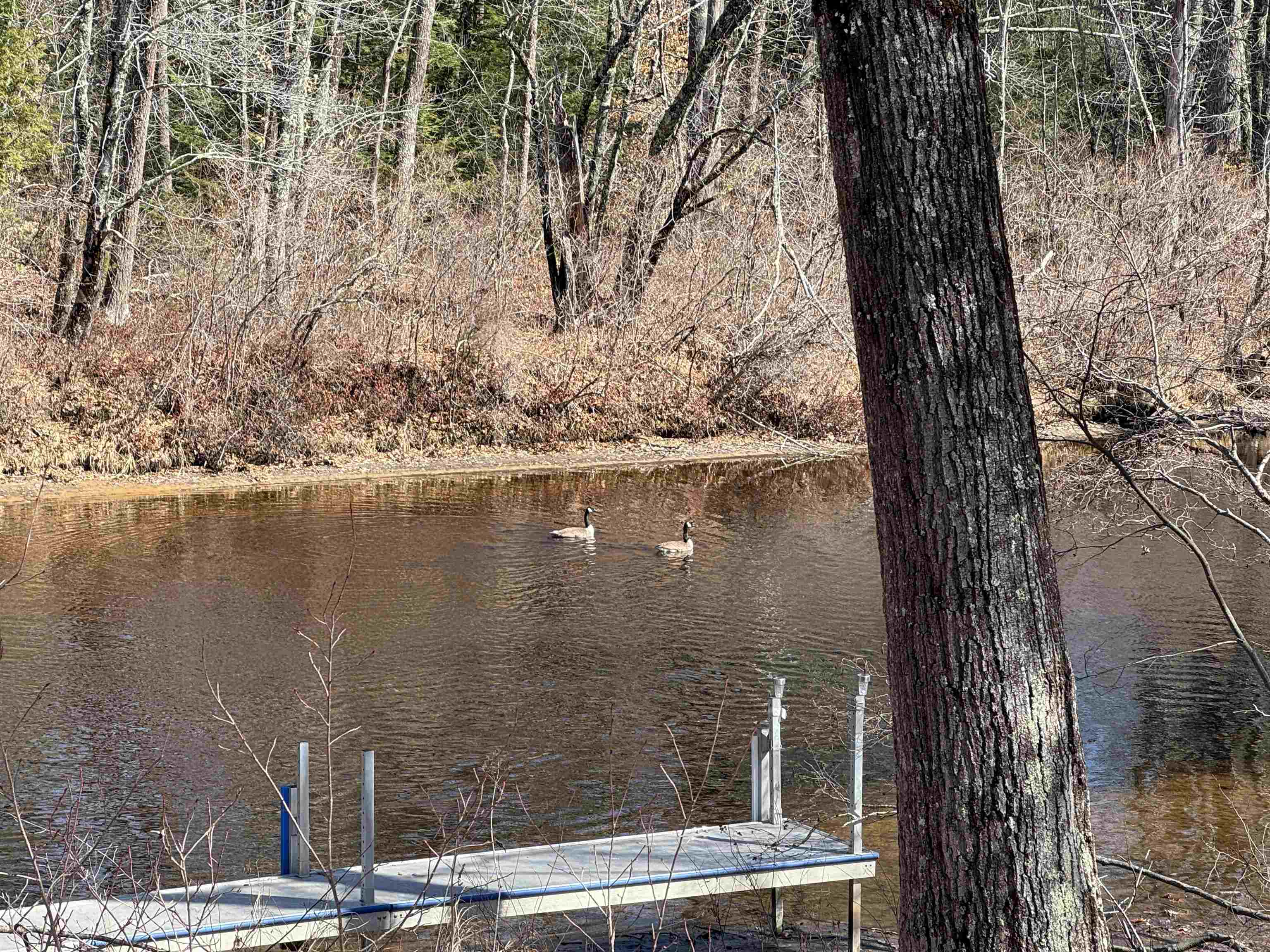 16 Hodsdon Shore Road Ossipee, NH 03814 - Photo 3 of 56