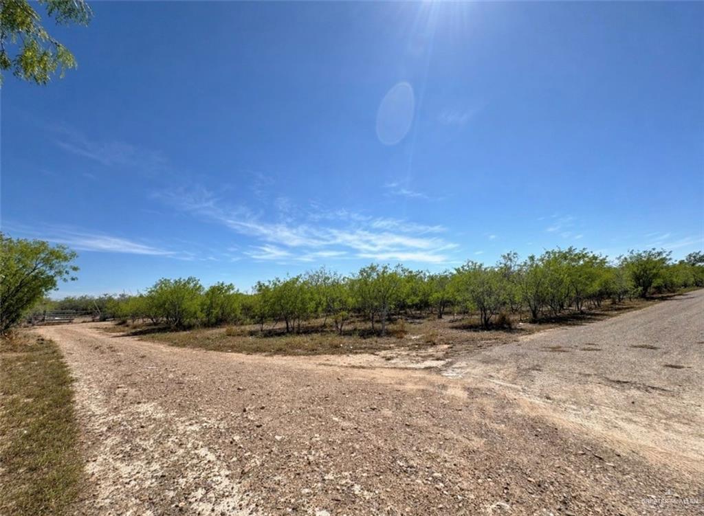 0 Tuna Street Roma, TX 78584 - Photo 1 of 1