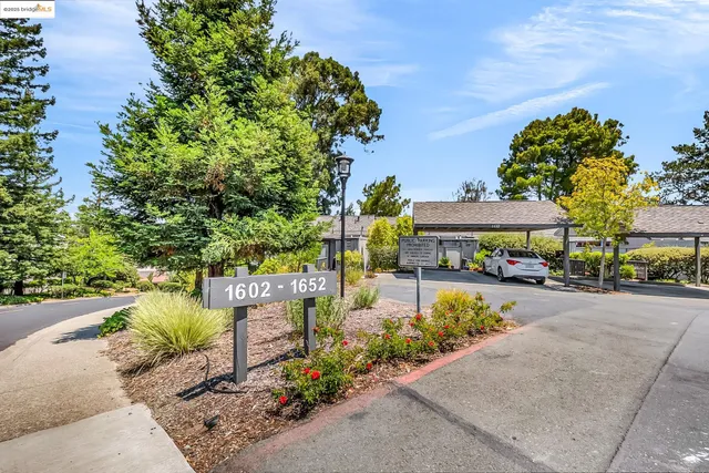 a view of a garden with an outdoor seating