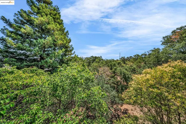 a view of a green field