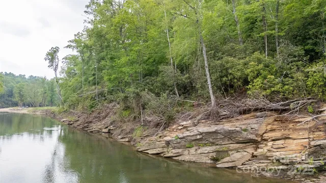 a view of a lake with trees