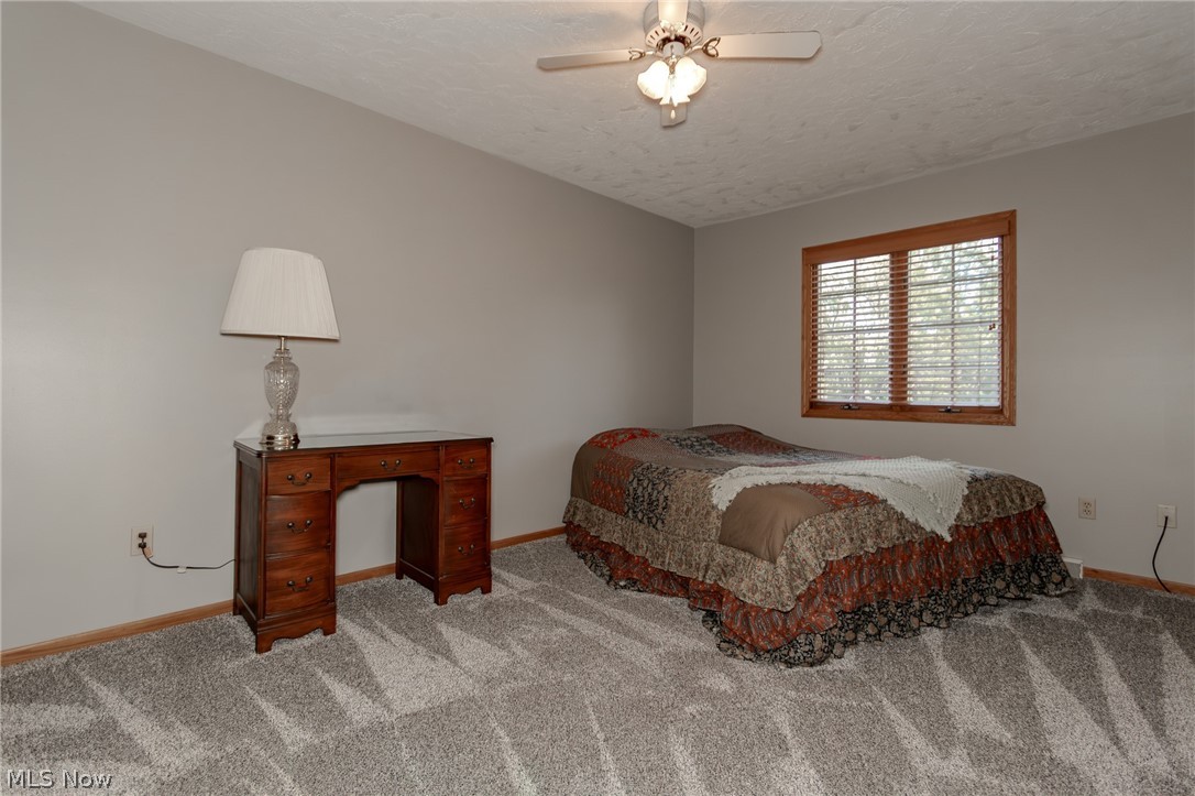 3195 Narrows Road Perry, OH 44081 - Photo 28 of 43 Gallery Image 28