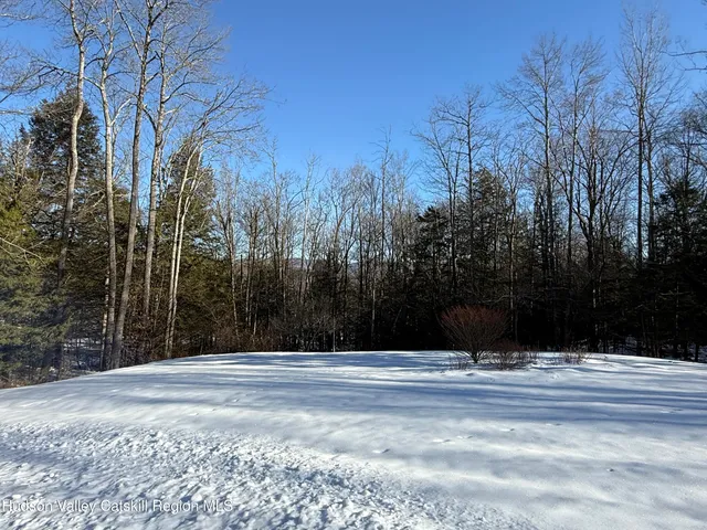 a view of street with with trees