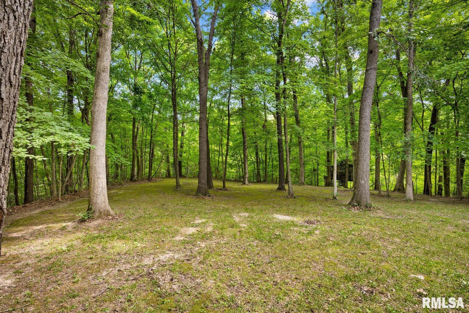 524 Justa Road Metamora, IL 61548 - Photo 49 of 50
