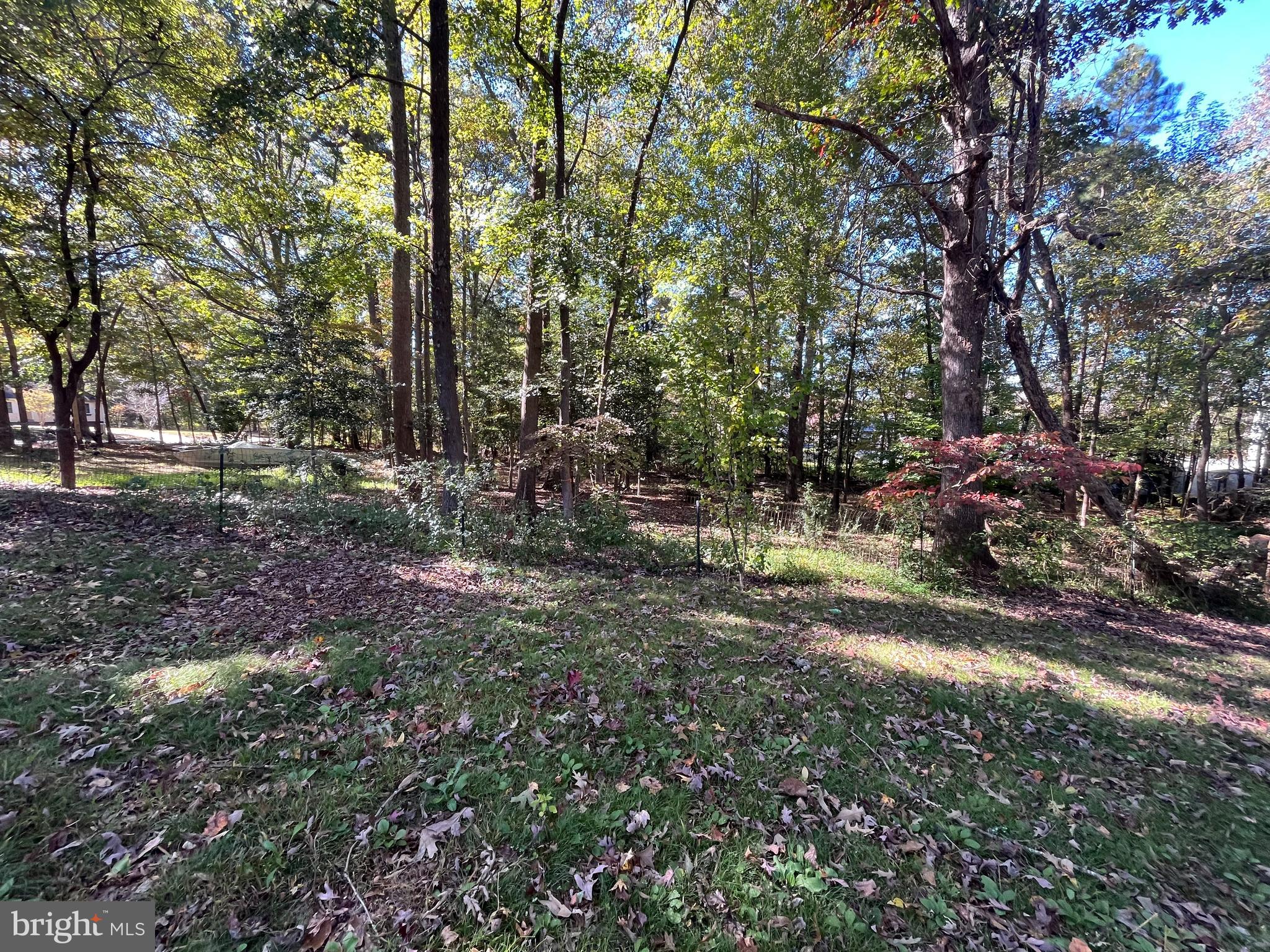 4302 Baxter Road Prince George, VA 23875 - Photo 8 of 78 a view of outdoor space and yard