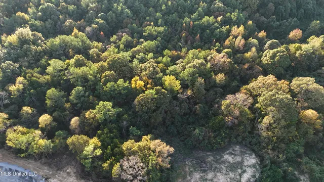 $51,500 | 3 Tyro Branch Cove, Senatobia, MS 38668