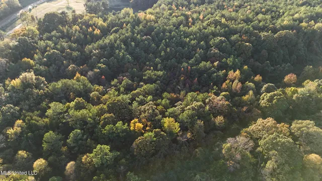 $51,500 | 3 Tyro Branch Cove, Senatobia, MS 38668