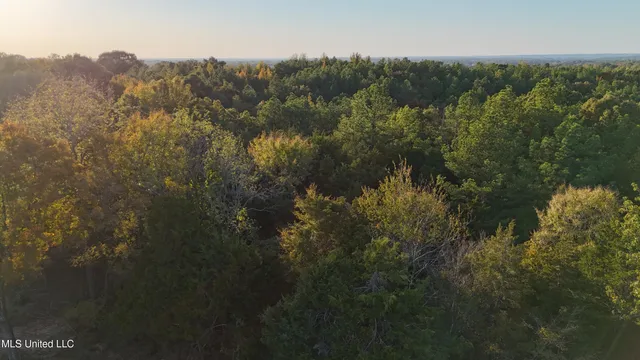 $51,500 | 3 Tyro Branch Cove, Senatobia, MS 38668