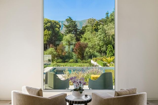 a view of a living room with a large window and a potted plant