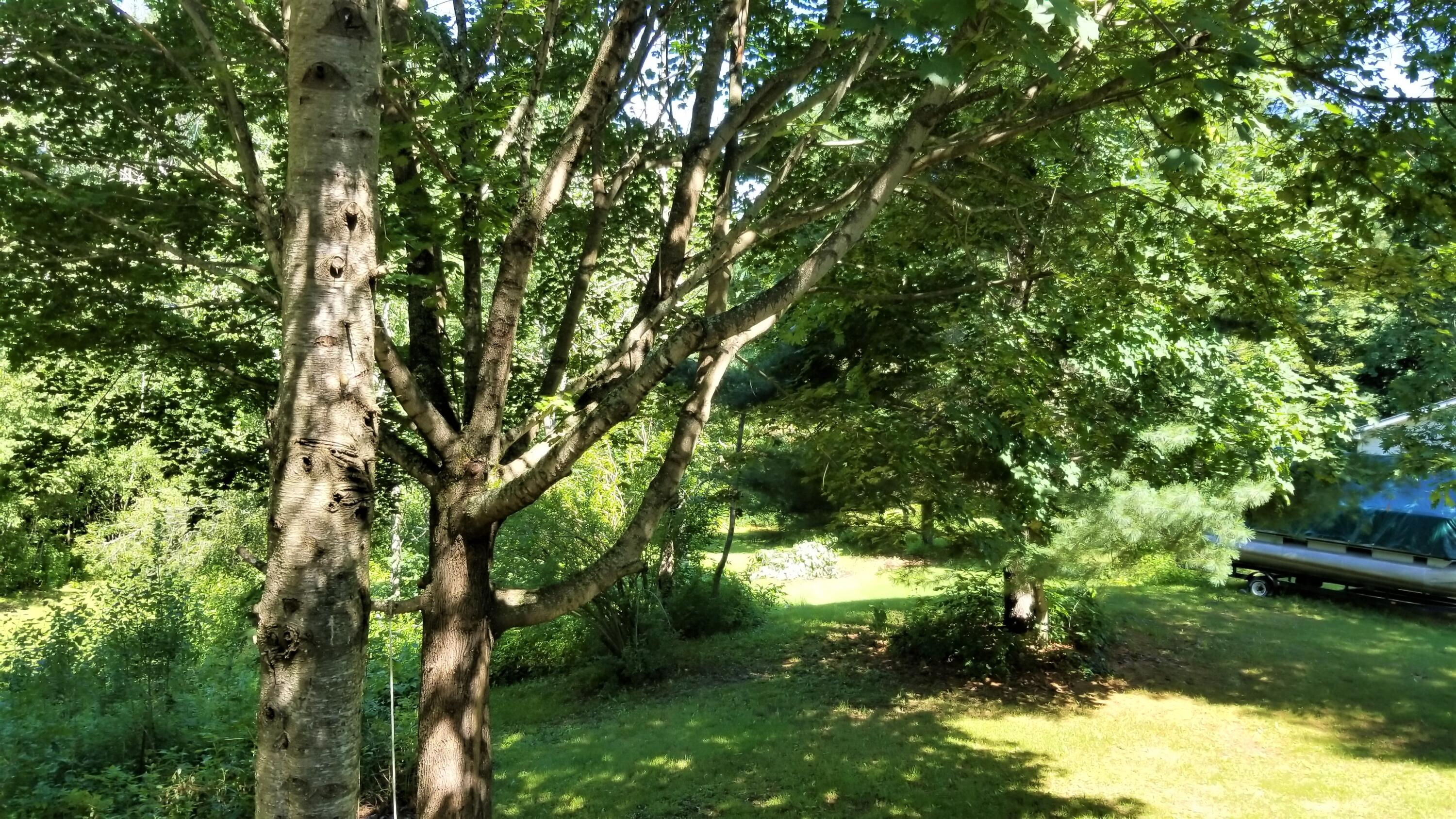 274 Ridge Road Fairfield, ME 04937 - Photo 23 of 37 belanger 26 (2)