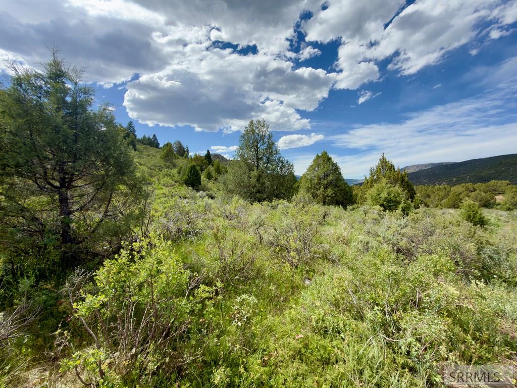 Tbd Fish Creek Road Lava Hot Springs, ID 83246 - Photo 40 of 44