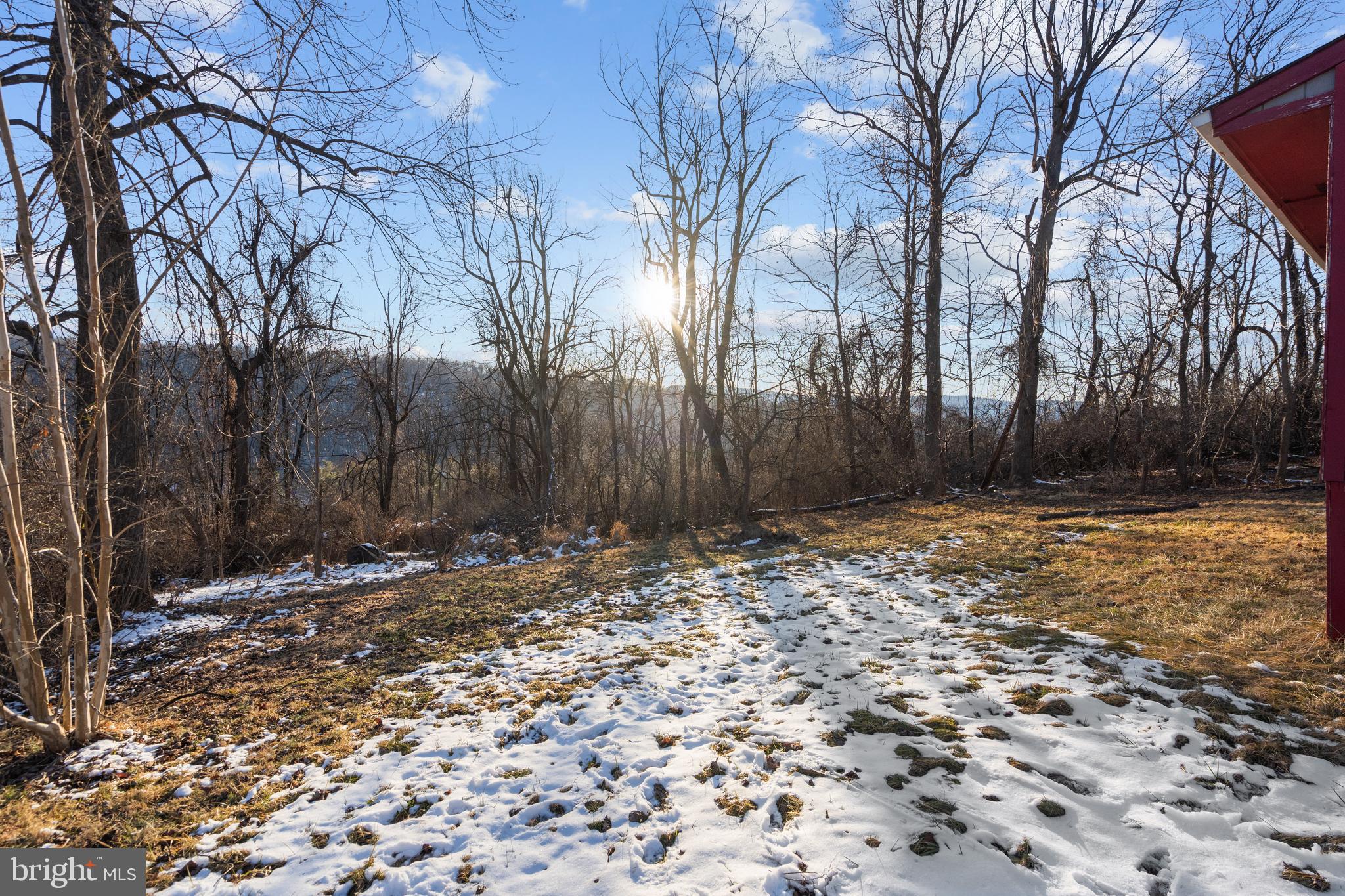 174 Bluebird Way Front Royal, VA 22630 - Photo 8 of 10 View of the Side Yard