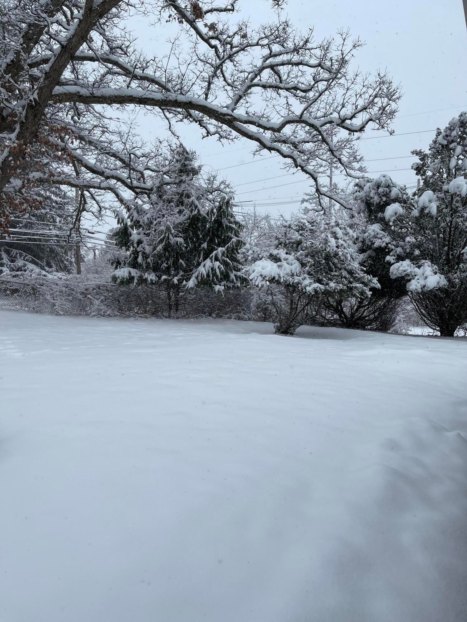 2015 Forest Road Lansing, MI 48910 - Photo 41 of 50 CA3DAD44-233B-4930-9CC1-F2625B43380F