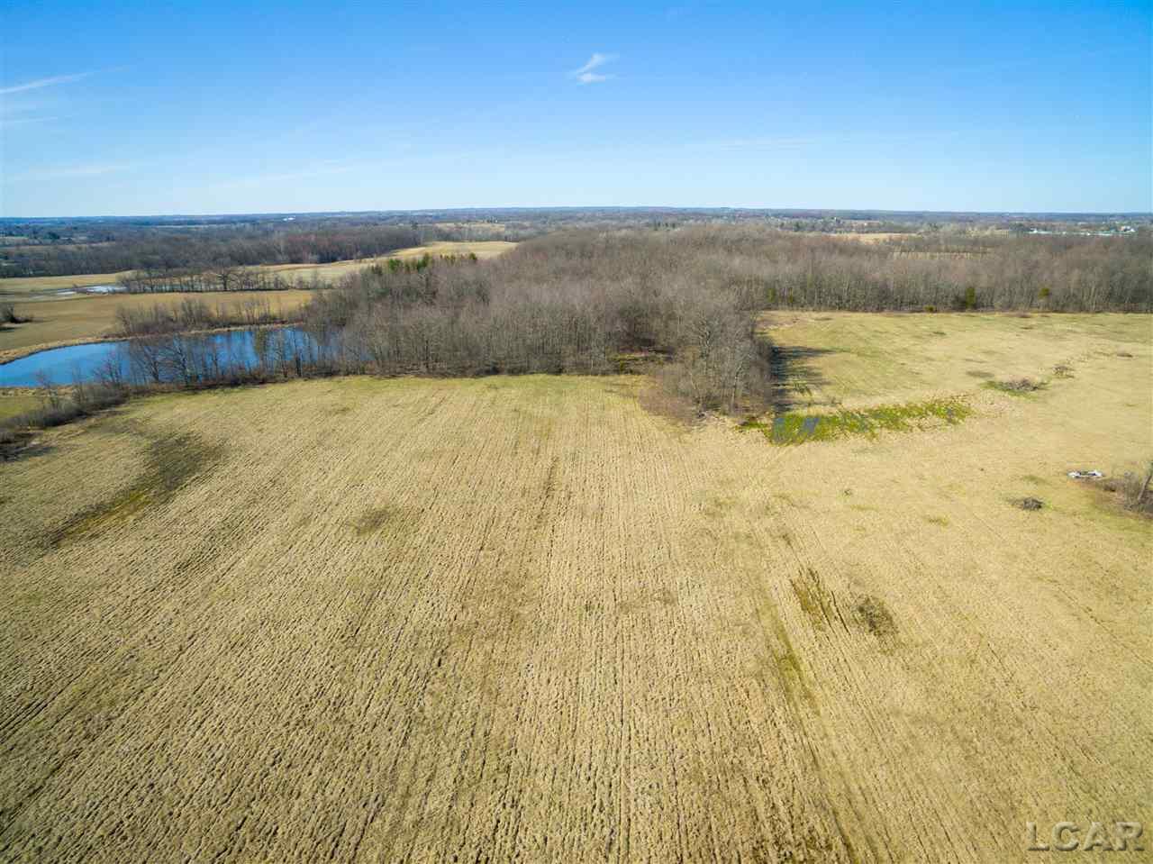 4000 West Beecher Road Adrian, MI 49221 - Photo 3 of 11