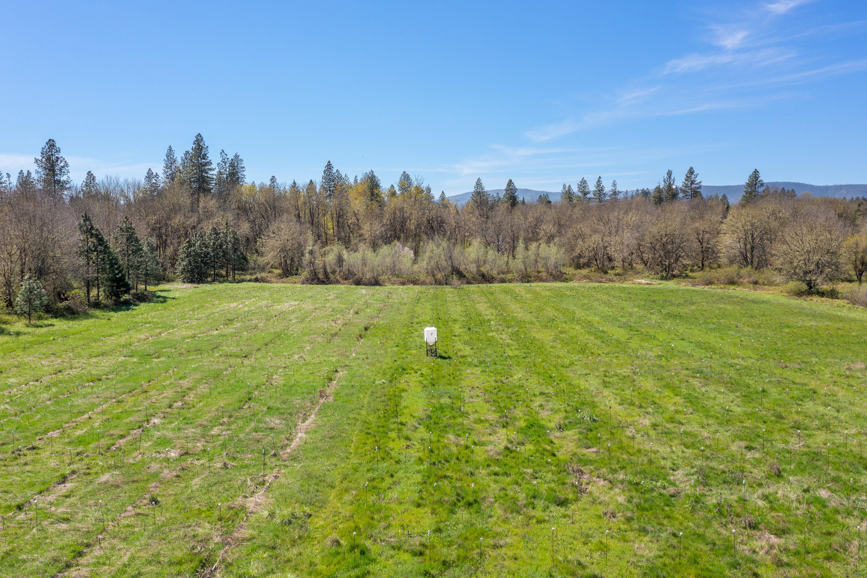 4701 Holland Loop Road Cave Junction, OR 97523 - Photo 26 of 44 DRONE (13 of 18)