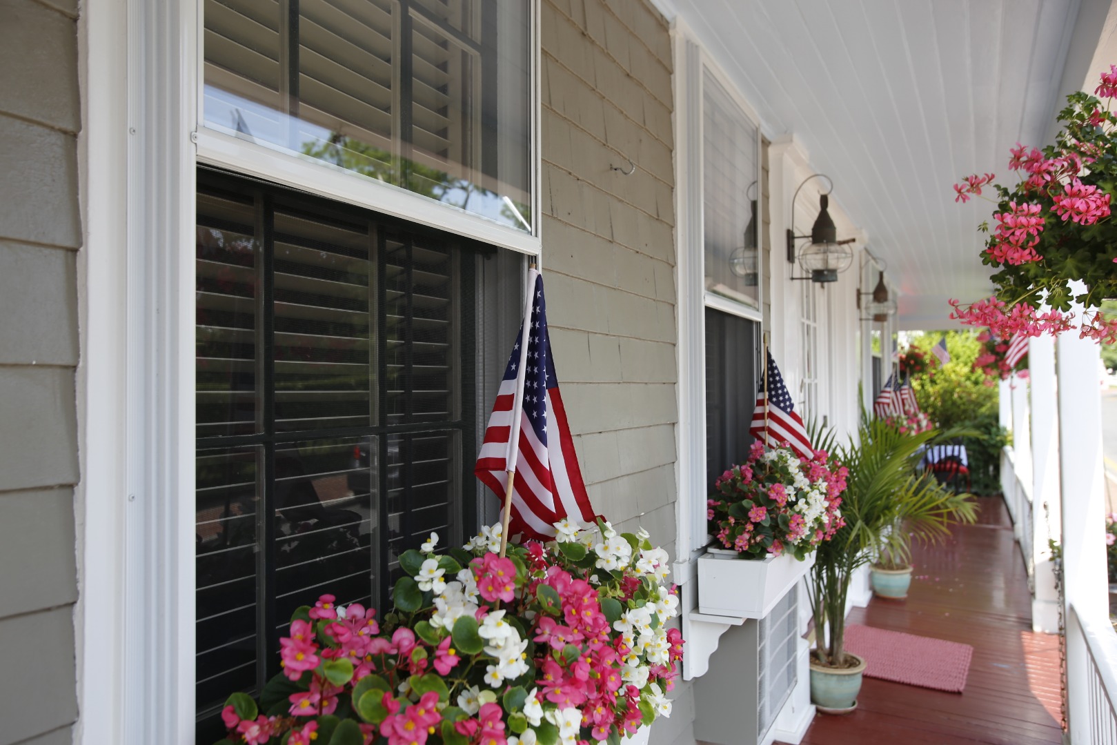 10 B Cliff Road Nantucket, MA 02554 - Photo 2 of 19 a potted plant sitting in front of a house