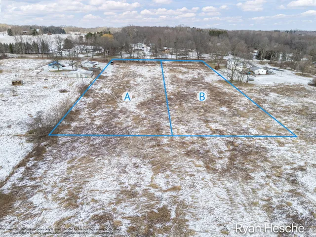 $55,000 | Lot A Sayles Road, Ionia, MI 48846