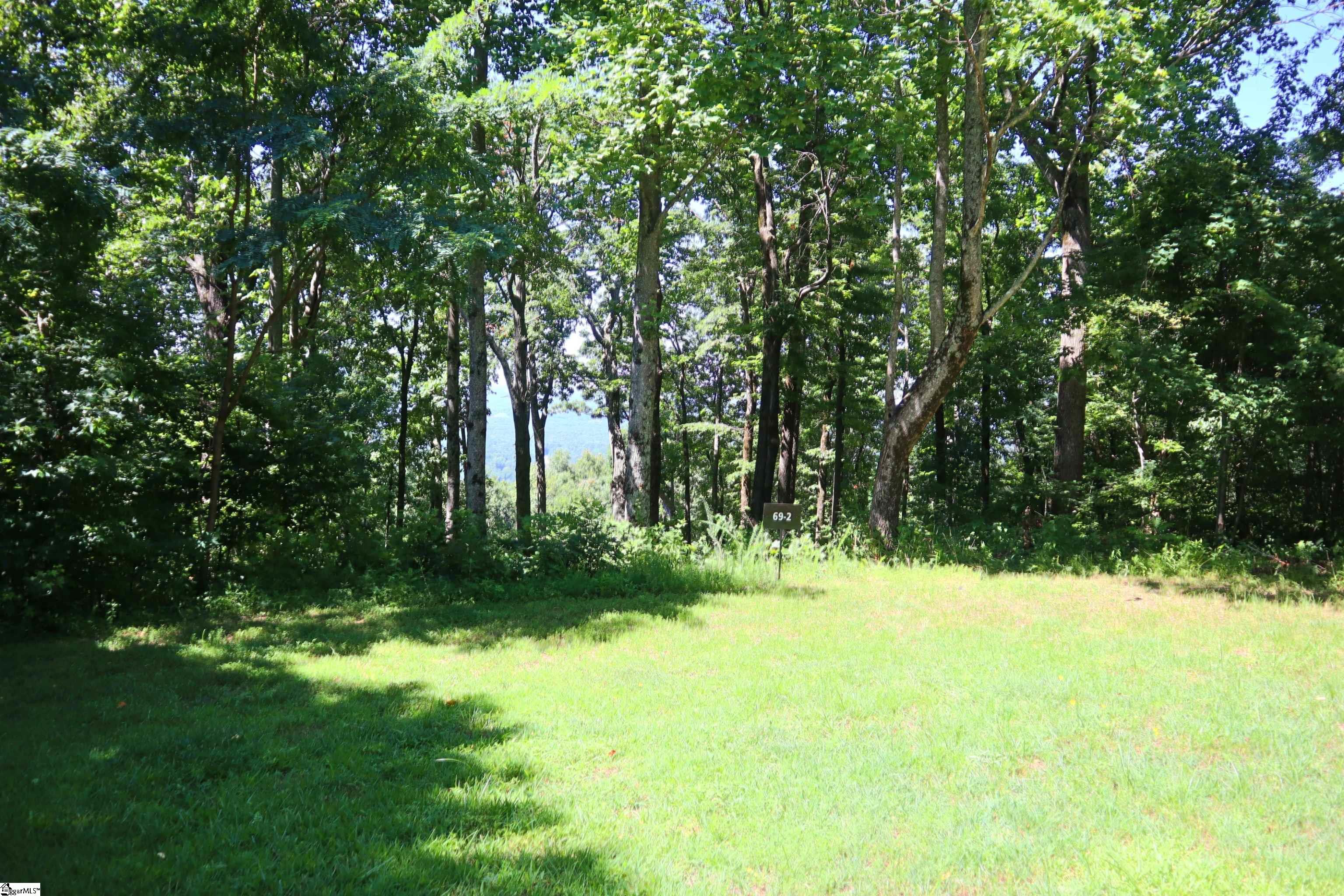 233 Southview Ledge Road Landrum, SC 29356 - Photo 2 of 9