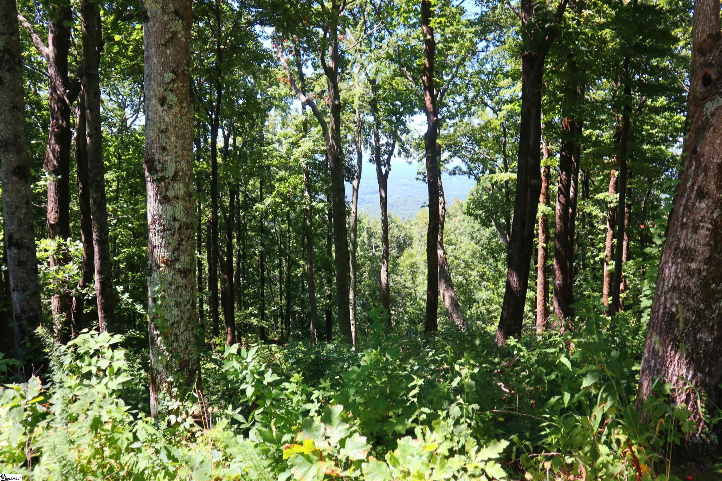 233 Southview Ledge Road Landrum, SC 29356 - Photo 3 of 9