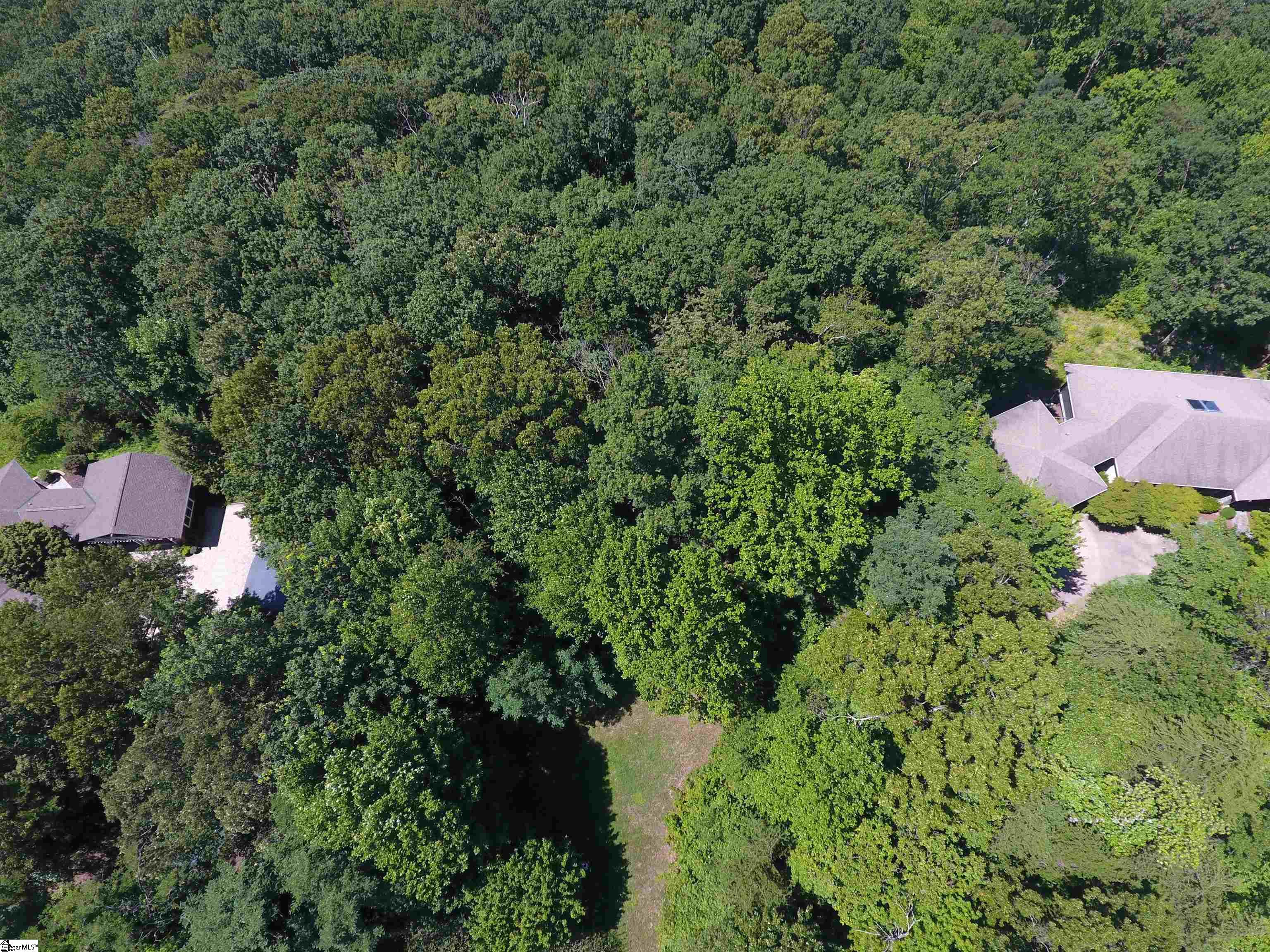 233 Southview Ledge Road Landrum, SC 29356 - Photo 8 of 9