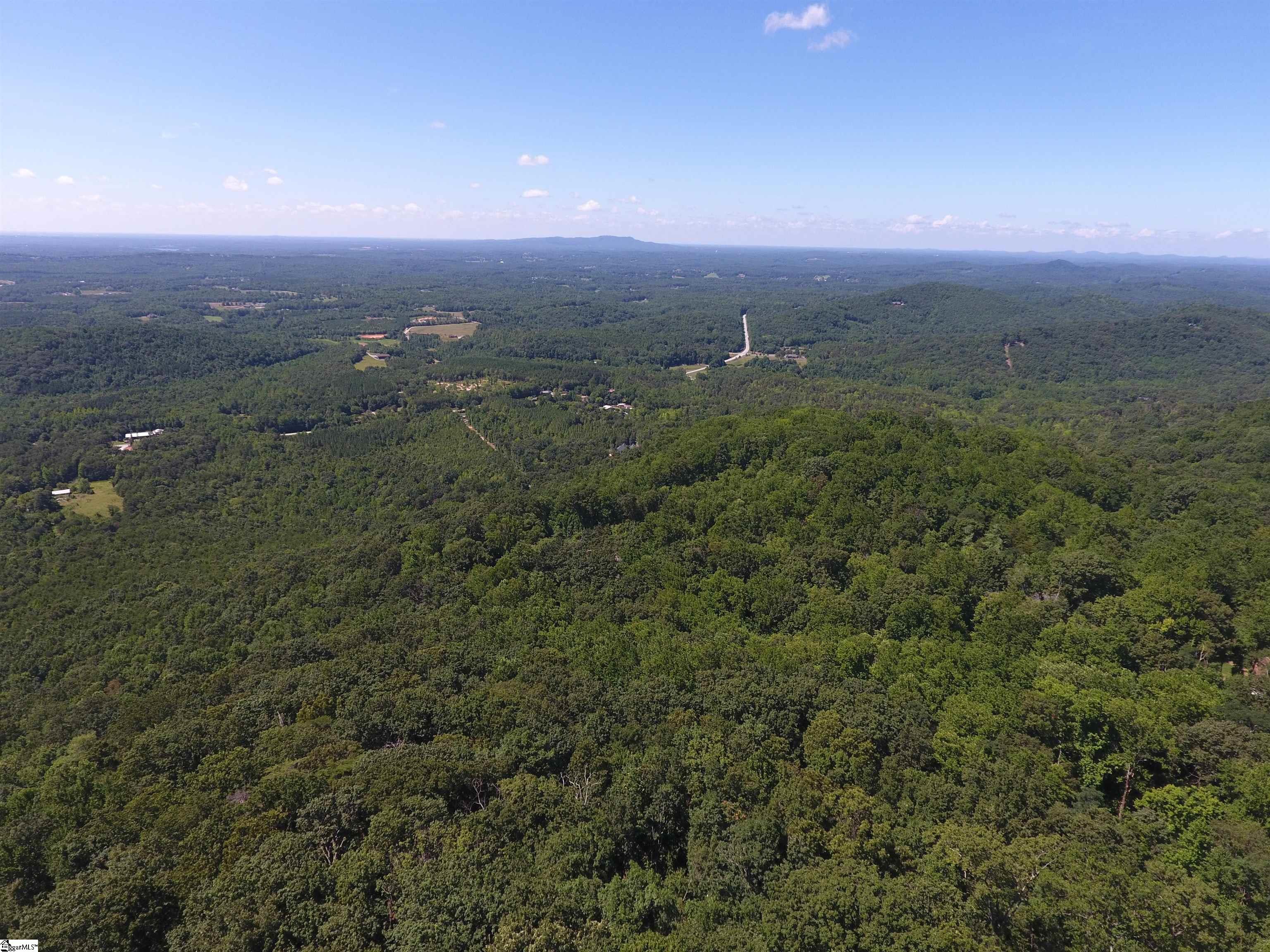 233 Southview Ledge Road Landrum, SC 29356 - Photo 9 of 9