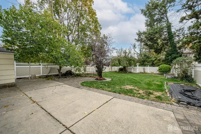 a view of a yard with plants and a trees