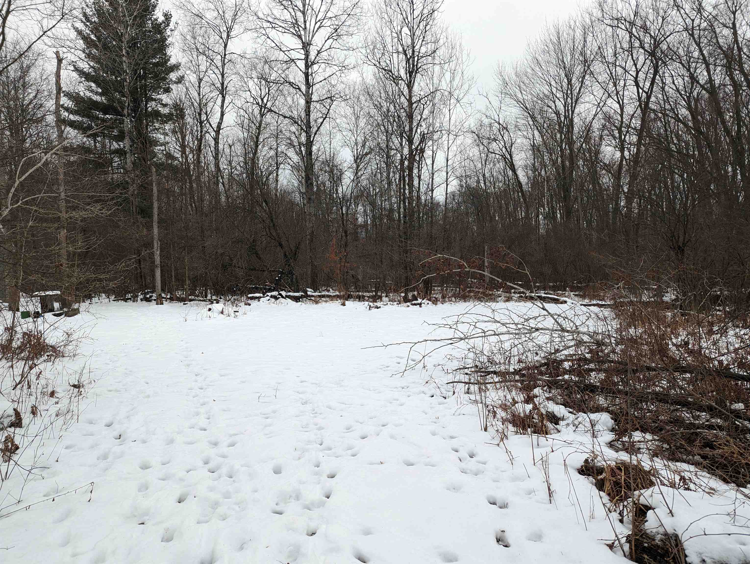 N/a N/a Nolbock Road Omer, MI 48749 - Photo 10 of 17