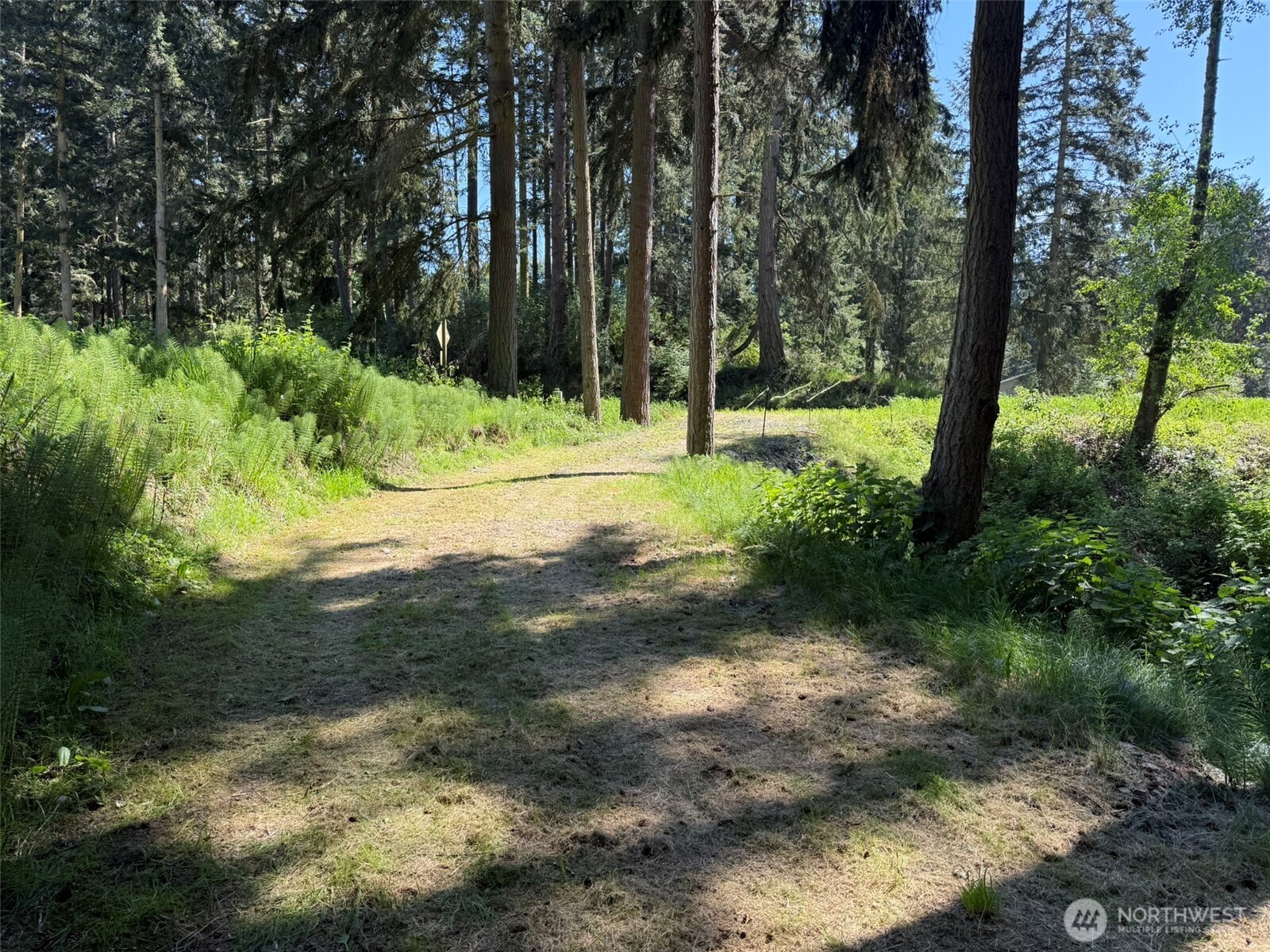 5860 Fish Road Freeland, WA 98249 - Photo 2 of 23 a view of outdoor space with trees all around
