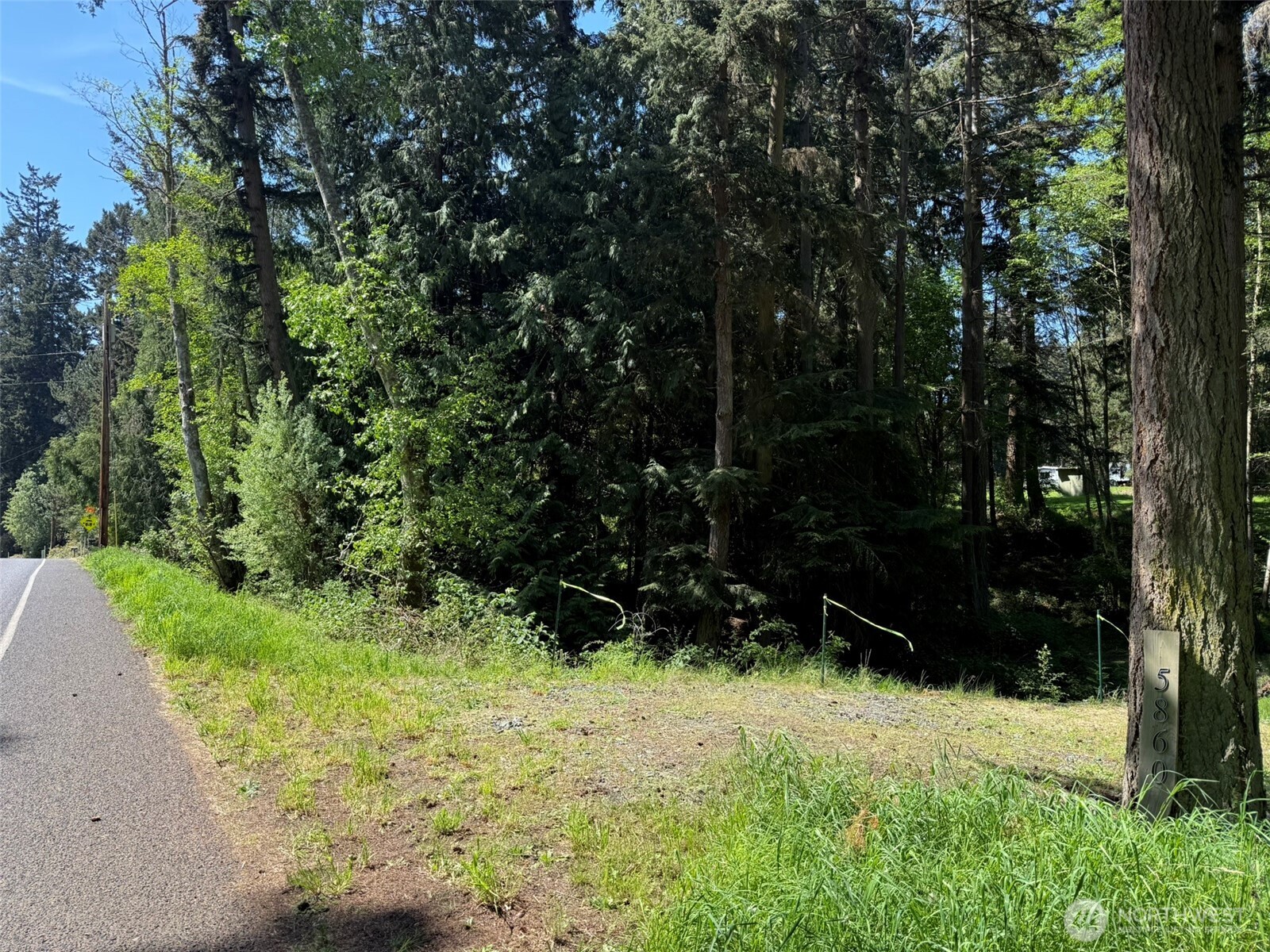 5860 Fish Road Freeland, WA 98249 - Photo 6 of 23 a view of outdoor space and yard