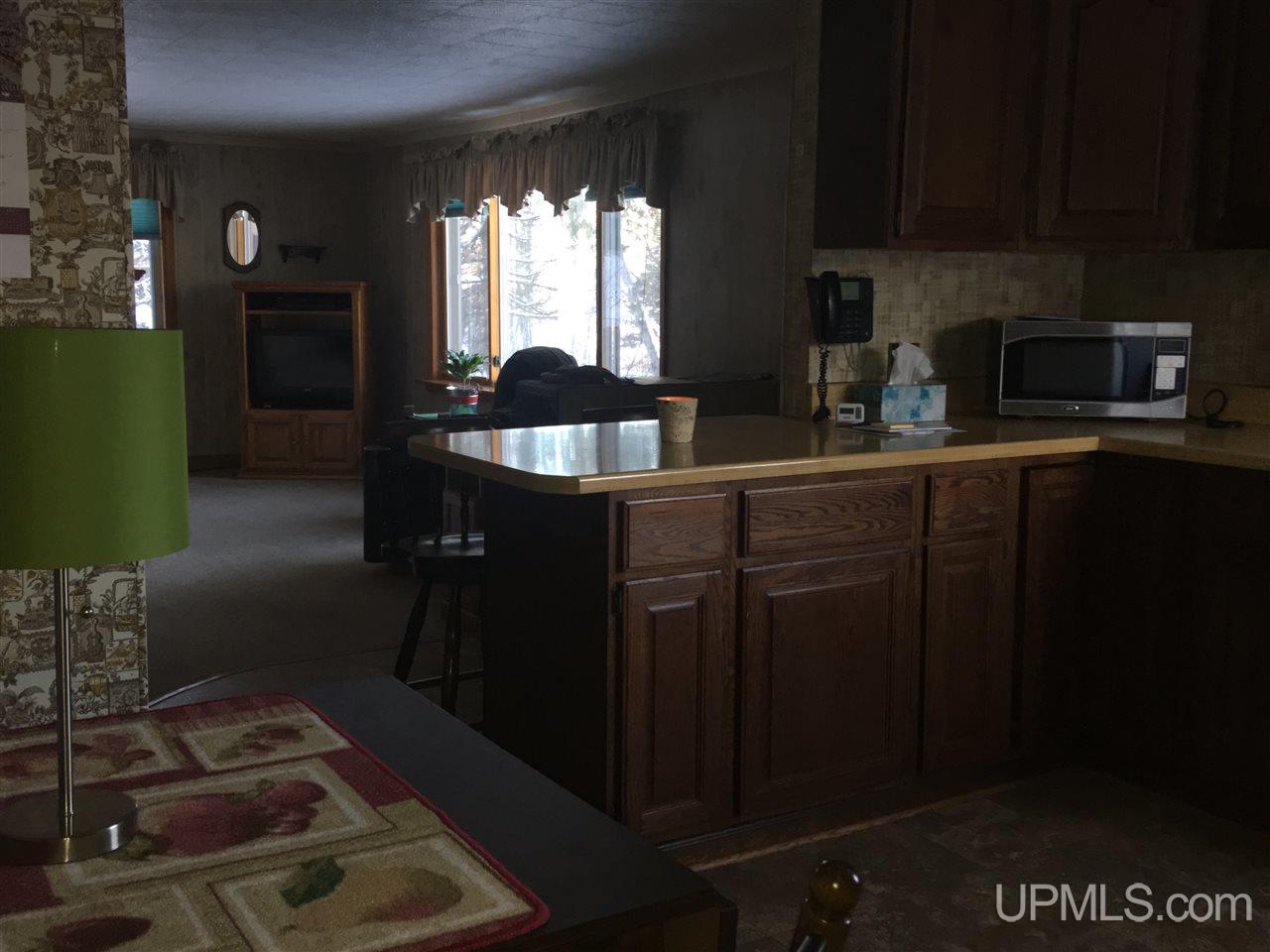230 Bluff Street Ishpeming, MI 49849 - Photo 10 of 34