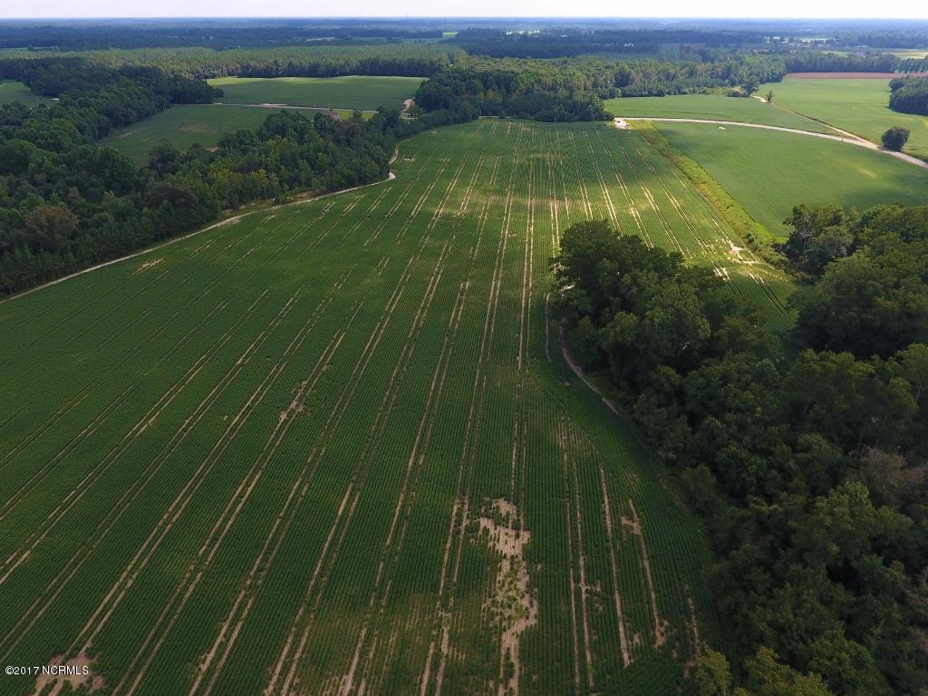 128.25 Ac Off Alton Road Lucama, NC 27851 - Photo 15 of 48 11 (1024x768)