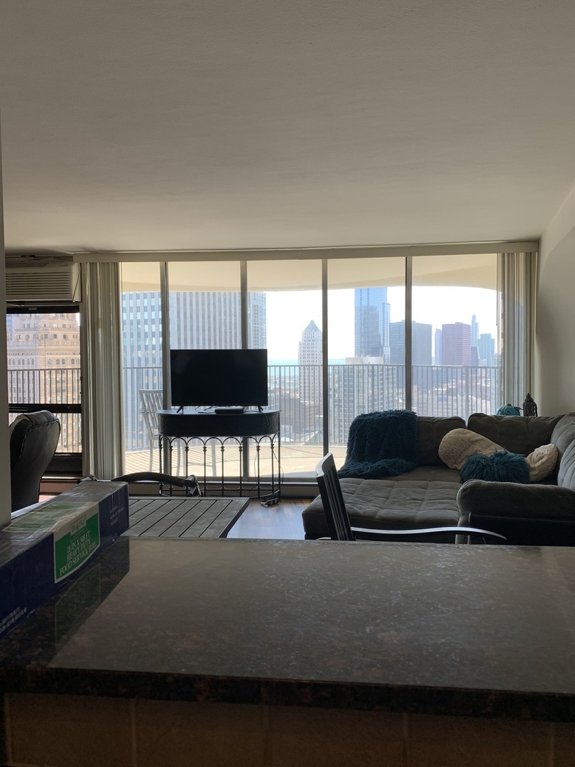 300 North State Street, Unit 4710 Chicago, IL 60654 - Photo 11 of 17