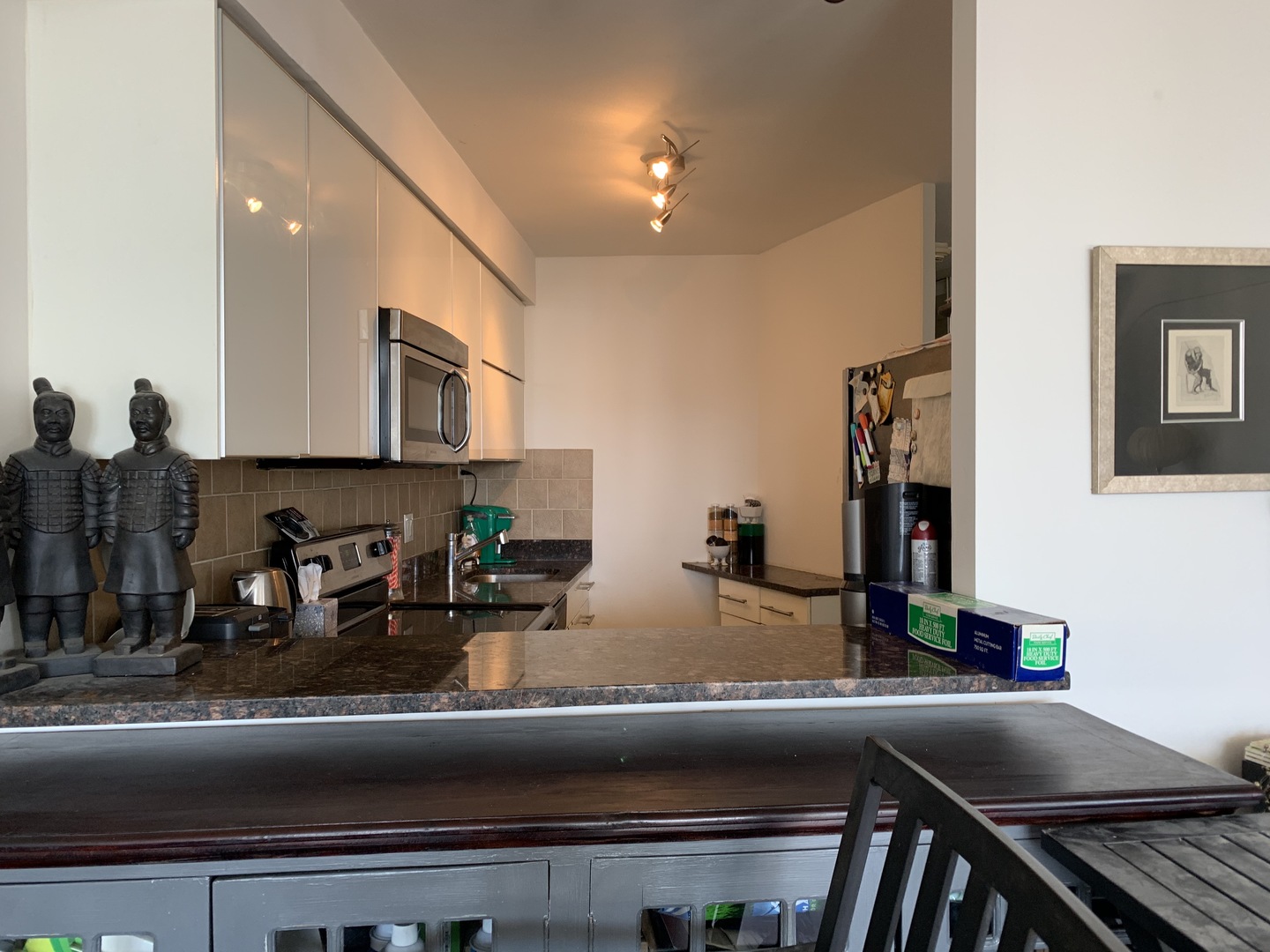 300 North State Street, Unit 4710 Chicago, IL 60654 - Photo 12 of 17