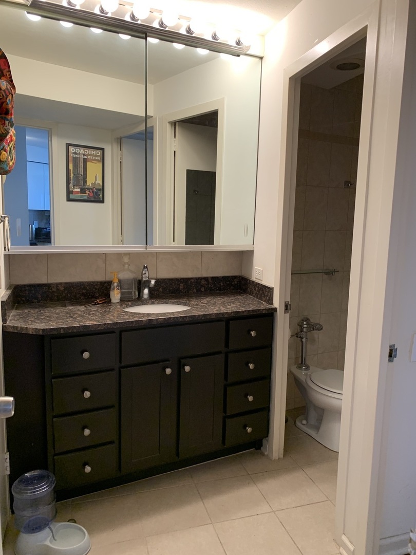 300 North State Street, Unit 4710 Chicago, IL 60654 - Photo 16 of 17