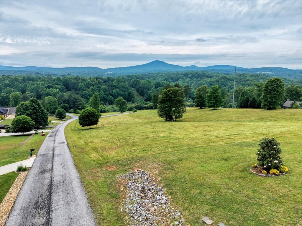 Lot 18 Riverside Lake Blairsville, GA 30512 - Photo 3 of 19