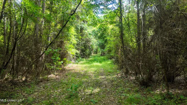 $360,000 | 570 Mississippi Summit, Summit, MS 39666