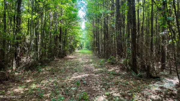 $360,000 | 570 Mississippi Summit, Summit, MS 39666